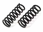 Coil Springs Big Block Mustang 2 coil springs