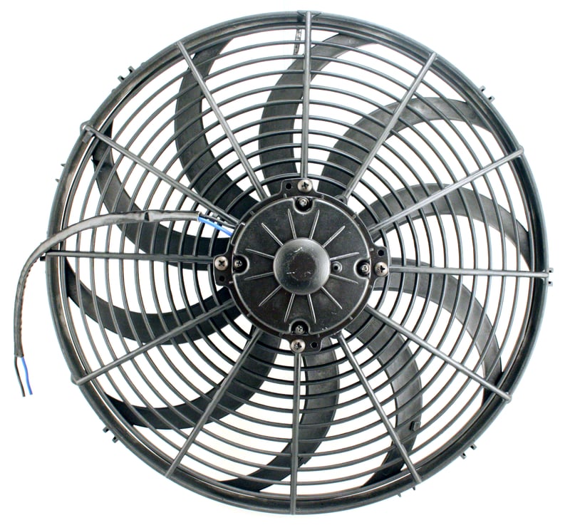 Fans