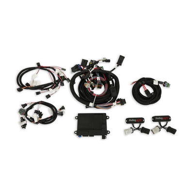HP EFI ECU & Harness Kits Complete 99-04 4 Valve Ford Modular Engine Plug and Play Kit - Jetronic "Bosch Style" injector harness - Includes NTK Oxygen Sensor