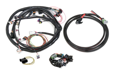 Universal Ford V-8 Harness Kit Universal Ford V8, Bosch Injector
