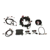 HP EFI ECU and Harness Kits Complete 99-04 2 Valve Ford Modular Engine Plug and Play Kit - Jetronic "Bosch Style" injector harness - Includes NTK Oxygen Sensor