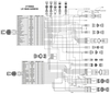GM LS 24X EFI HARNESS KIT GM LS1/6, 24X Crank Sensor, Bosch Injector