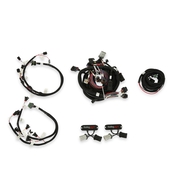 Ford Modular 2 Valve EFI Harness Kit 1999-2004 Ford Modular 2 Valve Harness Kit