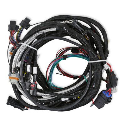 Holley EFI LT4 Engine Main Harness For use with Terminator X - Requires V3 Software