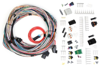 Unterminated Universal Main Harness Unterminated Universal Main Harness for HP EFI & Dominator EFI