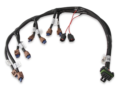 Ford Coyote Ti-VCT Coil Harness (2015.5-2017) Ford Coyote Ti-VCT Coil Harness (2015.5-2017)