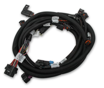 Holley EFI Ford Coyote Ti-VCT Sub Harness (2013-2017) Coyote Ti-VCT Sub Harness for 2013-2017 Coyote Engines with Stock Camshafts