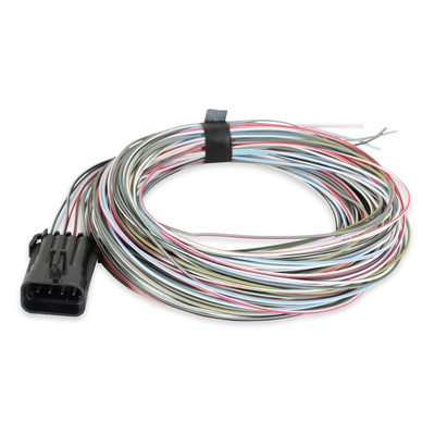 Connector J1A/B Input/Outputs Auxiliary Harness Connector J1A/B Inputs/Outputs Auxiliary Harness for Terminator X, HP, and Dominator EFI systems