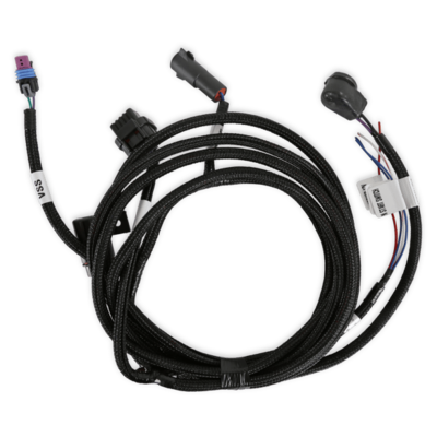 Holley EFI Transmission Harness - TKO Terminator X Max ECUs on V3 Build 100 or later - Holley EFI V6 Build 300 or later