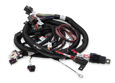 Main Engine Harness for 24x LS w/TBI Main Harness for us with 24x/1x Gen 3 LS with Terminator Throttle Body Fuel Injection