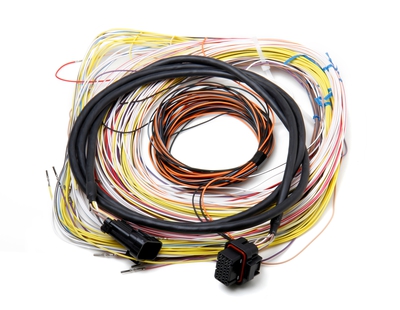 Dominator EFI Auxiliary Harness Dominator EFI Connector J2A Auxiliary Harness