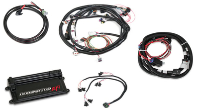 Dominator EFI Kit - LS2 Main Harness w/ Trans Control with EV1 Injector Harness Fits GM LS 58x Crank, 4x Cam - 4.8/5.3/6.0 style Engines with EV1 Injectors, and a 4L60/80E Transmission