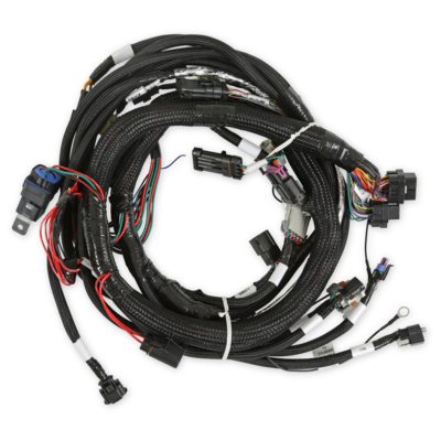 Holley EFI Gen V LT Engine Main Harness For use with Terminator X