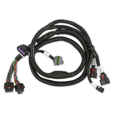 Holley EFI GM GEN V GDI Subharness Late LTx Engines