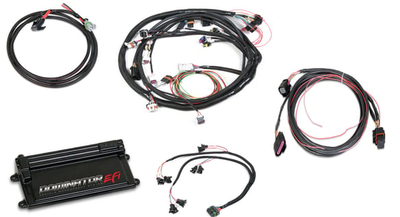 Dominator EFI Kit - LS2 Main Harness w/ DBW with EV1 Injector Harnesses Fits GM LS 58x Crank, 4x Cam - 4.8/5.3/6.0 style Engines with EV1 Injectors, and a DBW Throttle Body