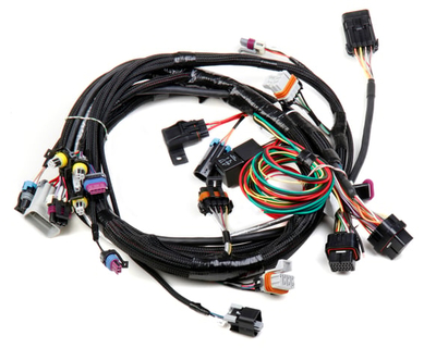 LS1/6 (24x/1x) Engine Main Harness LS1/6 Main Harness for HP EFI & Dominator EFI
