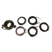Terminated Vehicle Harness for Digital Dash Terminated Vehicle Harness For Digital Dash