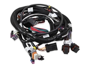MAIN ENGINE HARNESS FOR 58X LS W/TBI Main Harness for us with 58x/4x Gen 4 LS with Terminator Throttle Body Fuel Injection
