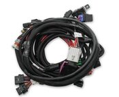 Holley EFI Coyote Ti-VCT Main Harness for Holley EFI HP smart coils (2011-2017) Coyote Ti-VCT Main Harness for 2011-2017 Coyote Engines using Holley EFI HP smart coils
