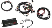 Dominator EFI Kit - LS1 Main Harness w/ Trans Control with EV1 Injector Harness Fits GM LS 24x Crank, 1x Cam - LS1/LS6 style Engines with EV1 Injectors, and a 4L60/80E Transmission