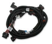 Holley EFI Ford Coyote Ti-VCT Sub Harness (2013-2017) Coyote Ti-VCT Sub Harness for 2013-2017 Coyote Engines with Stock Camshafts