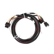 Ford Coyote (2011-2017) Drive-By-Wire Harness Ford Coyote (2011-2017) Drive-By-Wire Harness