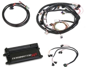 Dominator EFI Kit - Ford Main Harness with EV1 Injector Harness Fits conventional push rod Ford Engines, with EV1 Injectors
