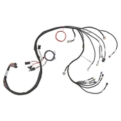 LS2/3/7+ (58x/4x) Engine Main Harness Extended Length LS2/3/7+ (58x/4x) Engine Main Harness for HP EFI & Dominator EFI