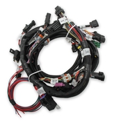 Holley EFI Ford Coyote Engine Main Harness w/ Ti-VCT and stock coils (2011-2017) Coyote Engine Main Harness compatible with 2011-2017 Ti-VCT Coyote Engines