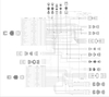 LS1/6 (24x/1x) Engine Main Harness, Extended Length LS1/6 Main Harness for HP EFI & Dominator EFI