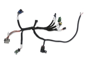 Holley EFI Benchtop Harness Firmware Updating - Dash Configuration - ECU Testing