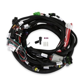 5.0L Ford Engine Main Harness Plug and Play with fuel injected 5.0L Small Block Ford Engines