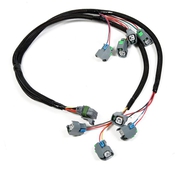 LSx Injector Harness - For EV6 Style Injectors LSx Injector Harness for HP EFI, Dominator EFI and Terminator X.
