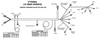 LS1/6 (24x/1x) Engine Main Harness LS1/6 Main Harness for HP EFI & Dominator EFI