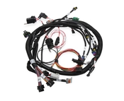 Universal MPFI Coil on Plug Main Harness UNIVERSAL MPFI W/ COP MAIN HARNESS