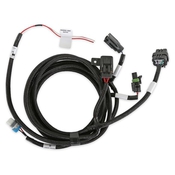 Holley EFI Transmission Harness - T-56 Magnum Terminator X Max ECUs on V3 Build 100 or later - Holley EFI V6 Build 300 or later