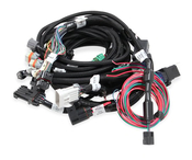 Ford Modular 2V & 4V Main Harness for use with Holley Smart Coils Main Harness for 1999-2004 2 & 4 Valve Ford Modular (4.6 & 5.4L) Engines for use with Holley Smart Coils