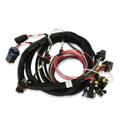 Terminator Main Harness Replacement main wiring harness for Terminator EFI kits 550-405 and 550-406