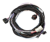 Ford 4R70W/4R75W Transmission Control Harness Ford 4R70W/4R75W Transmission Control Harness (98+)