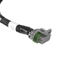 Ford V8 Injector Harness Evenly spaced Ford V8 Injector Harness for Jetronic "Bosch EV1" style Injectors
