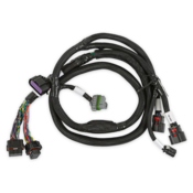 Holley EFI GM GEN V GDI Subharness Late LTx Engines