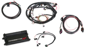 Dominator EFI Kit - LS2 Main Harness w/ DBW with EV1 Injector Harnesses Fits GM LS 58x Crank, 4x Cam - 4.8/5.3/6.0 style Engines with EV1 Injectors, and a DBW Throttle Body