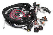 Gen III HEMI Main Harness , Late, w/TPS and Idle Air Control Connections Gen III HEMI Main Harness w/Throttle Position Sensor & Idle Air Control, For Late Crank & Cam Sensors, for HP EFI & Dominator EFI, For use with Cable Throttle Body.