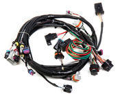 LS1/6 (24x/1x) Engine Main Harness LS1/6 Main Harness for HP EFI & Dominator EFI