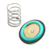 Regulator Rebuild Kit