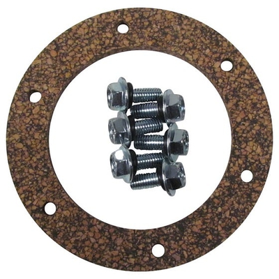 Fuel Pump Hanger Cork, Rubber Gasket, and Screw Kit