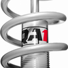 GD501-10650A Front Pro Coil Shock System, Double Adjustable, GM, 10in. Spring, 650lb./in.